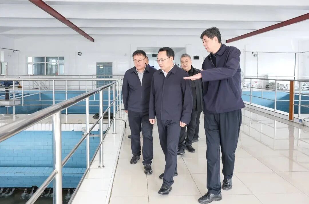 谢志强深入鸡冠区调研