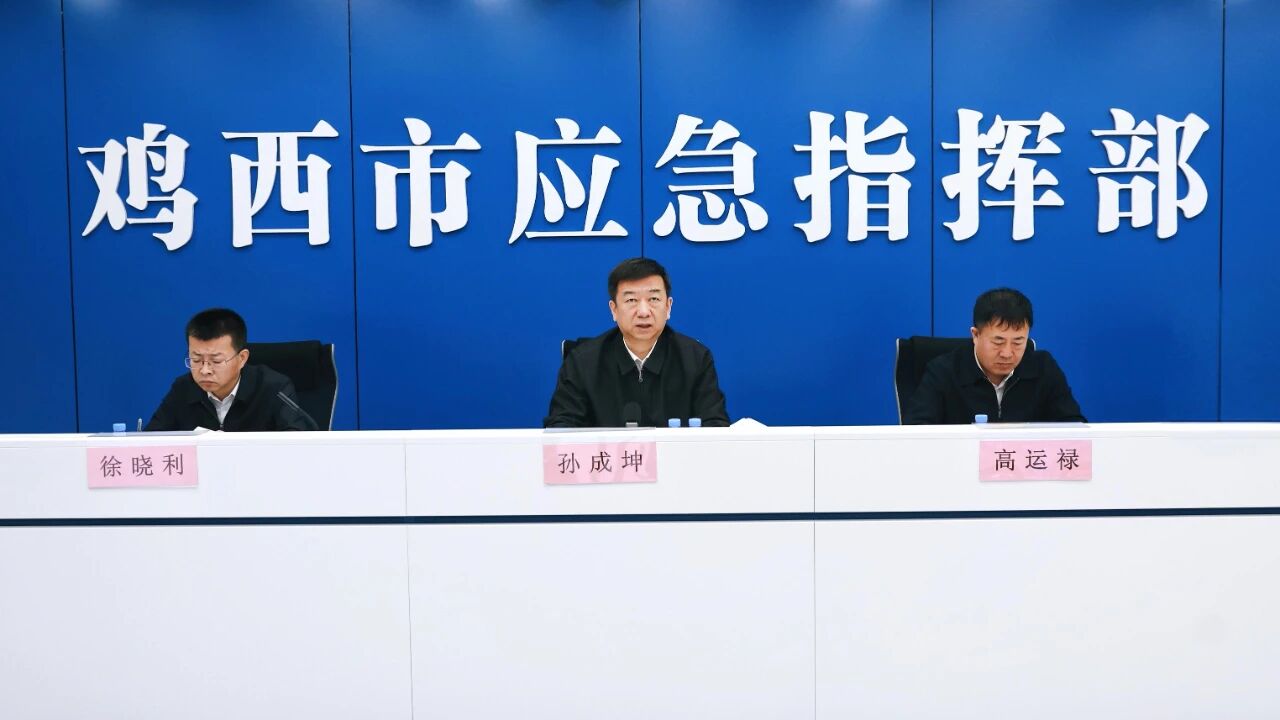 孙成坤：扎实做好安全生产各项工作 有效防范化解各类安全风险隐患