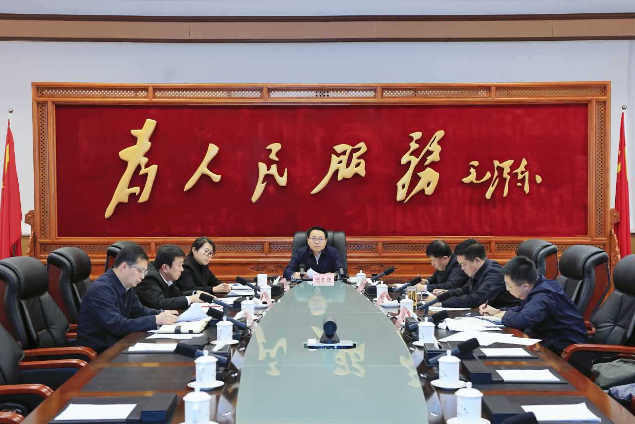 谢志强：加强谋划储备 扩大有效投资 以项目建设之“进”支撑经济发展之“稳”
